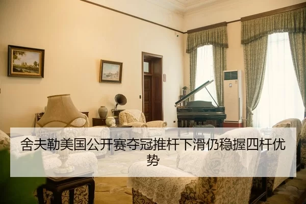 she-fu-lei-mei-guo-gong-kai-sai-duo-guan-tui-gan-xia-hua-reng-wen-wo-si-gan-you-shi-2-227.jpg